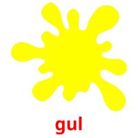 gul picture flashcards