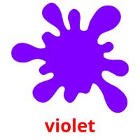 violet Bildkarteikarten