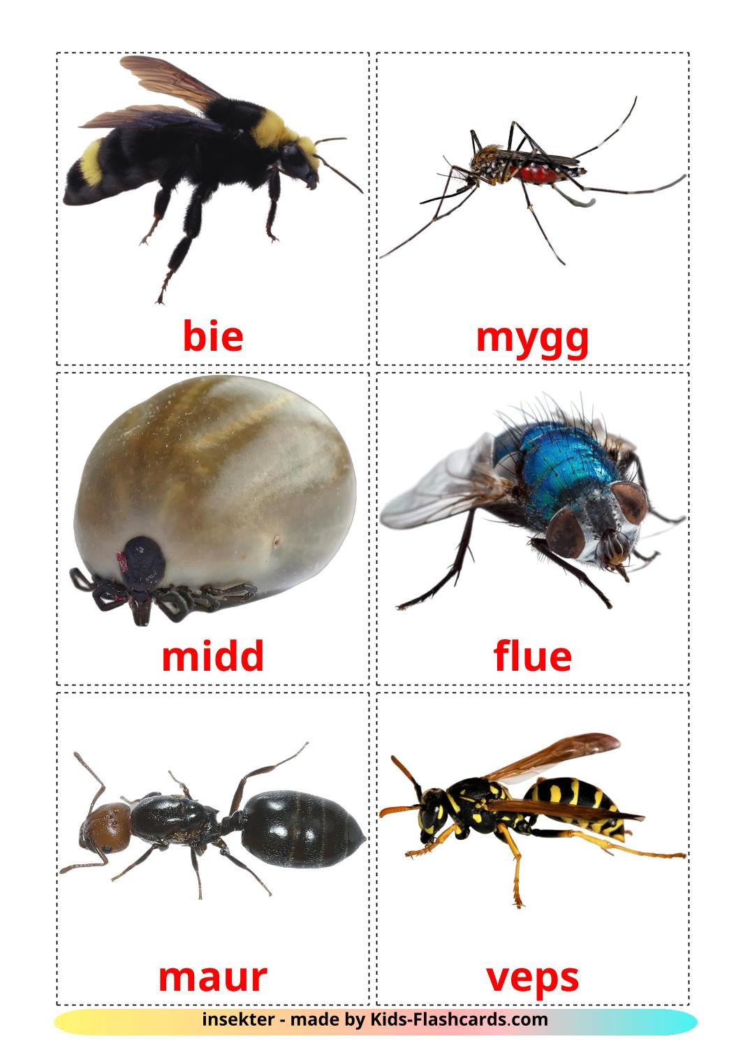 Les Insectes - 23 Flashcards norvégien imprimables gratuitement