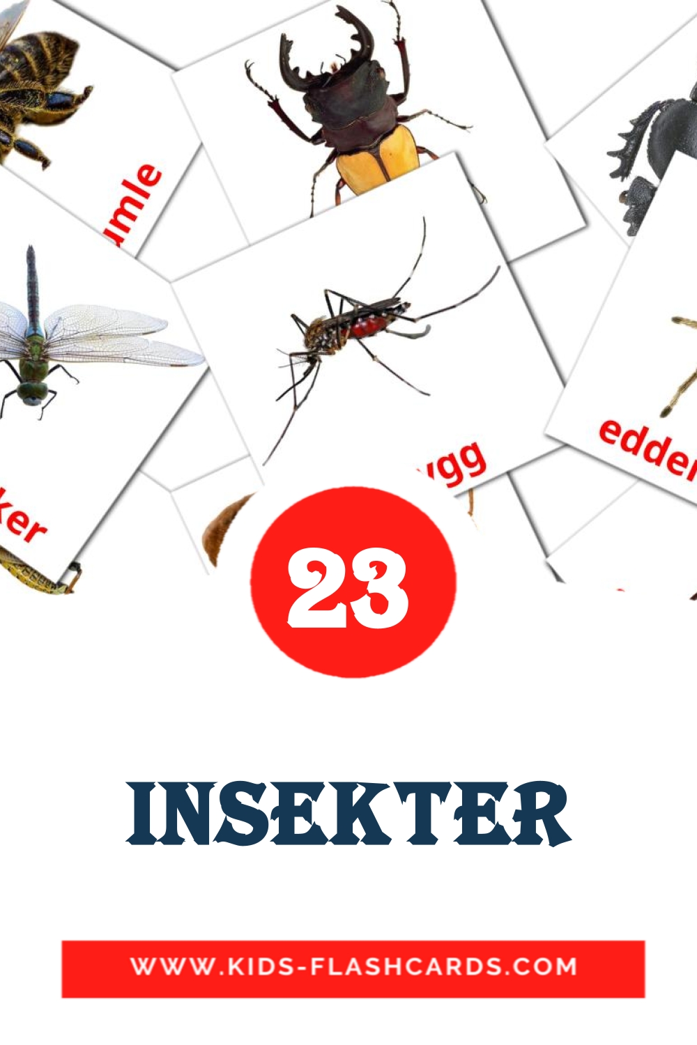 23 cartes illustrées de insekter pour la maternelle en norvégien