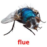 flue picture flashcards