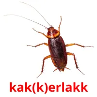 kak(k)erlakk cartões com imagens