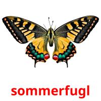 sommerfugl flashcards illustrate