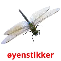 øyenstikker cartões com imagens