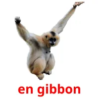 en gibbon cartões com imagens