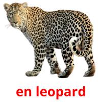 en leopard cartes flash