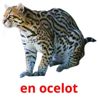 en ocelot cartões com imagens