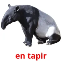 en tapir cartões com imagens