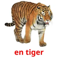 en tiger cartões com imagens