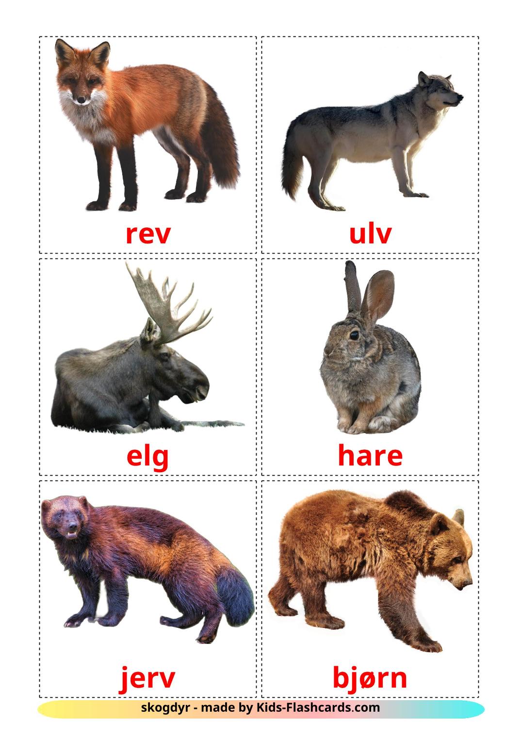 Animali della foresta - 22 flashcards norvegese stampabili gratuitamente