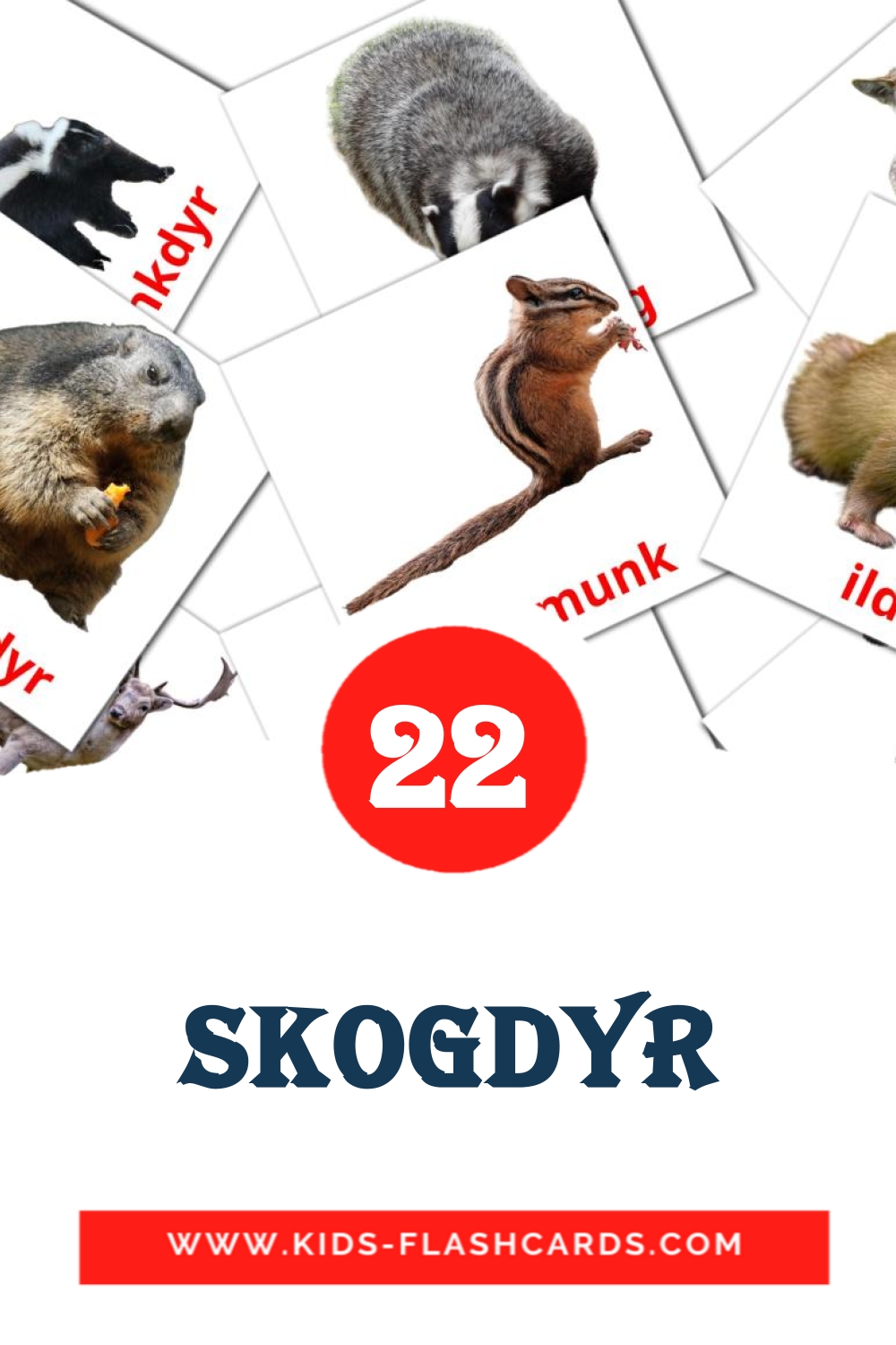 22 cartes illustrées de skogdyr pour la maternelle en norvégien