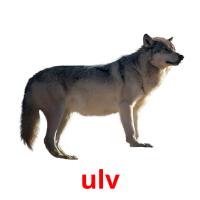 ulv picture flashcards