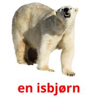 en isbjørn flashcards illustrate