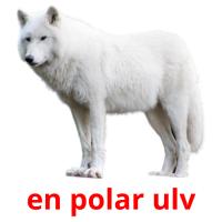 en polar ulv flashcards illustrate