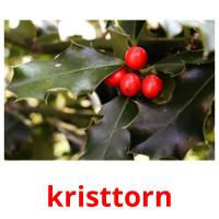 kristtorn card for translate