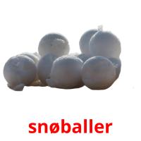 snøballer picture flashcards