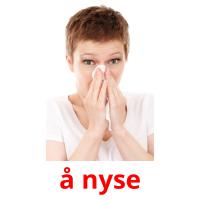 å nyse picture flashcards