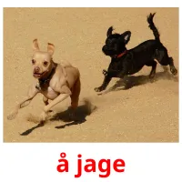 å jage cartões com imagens