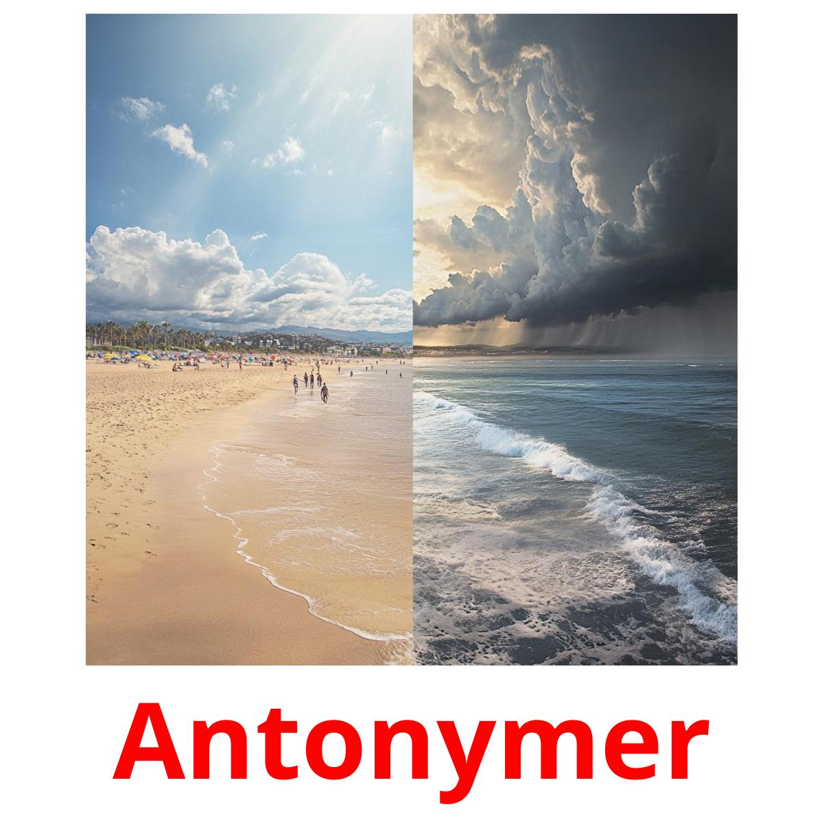 Antonymer cartões com imagens