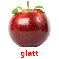 glatt Bildkarteikarten