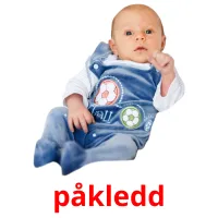 påkledd Bildkarteikarten