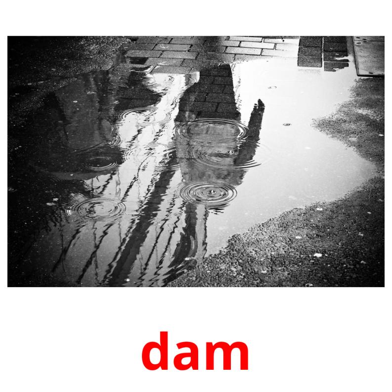 dam flashcards illustrate