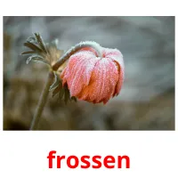 frossen cartões com imagens