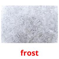 frost Tarjetas didacticas