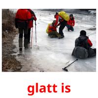 glatt is picture flashcards