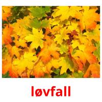 løvfall picture flashcards