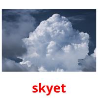 skyet picture flashcards