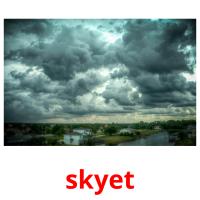 skyet flashcards illustrate