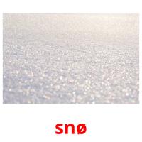 snø picture flashcards
