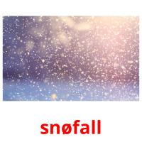 snøfall flashcards illustrate