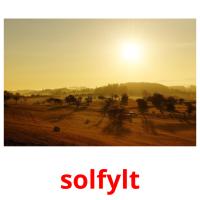 solfylt picture flashcards
