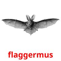 flaggermus card for translate