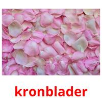 kronblader flashcards illustrate