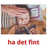 ha det fint picture flashcards