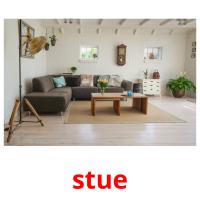 stue picture flashcards