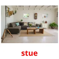 stue flashcards illustrate