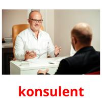 konsulent picture flashcards