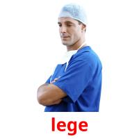 lege picture flashcards