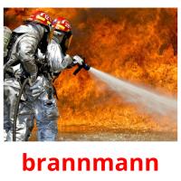 brannmann Tarjetas didacticas