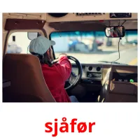 sjåfør cartões com imagens