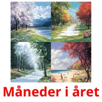 Måneder i året cartões com imagens