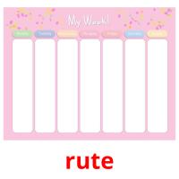 rute picture flashcards