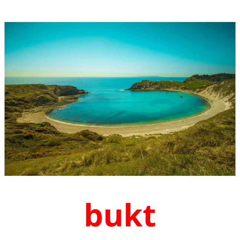 bukt picture flashcards