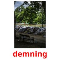 demning picture flashcards