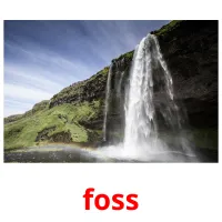 foss cartões com imagens