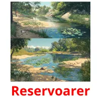 Reservoarer cartões com imagens